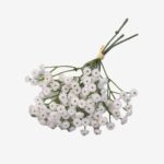 Baby Breath