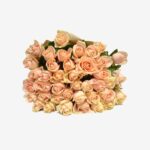 Secret-Flower-Product-Roses001-1.jpg