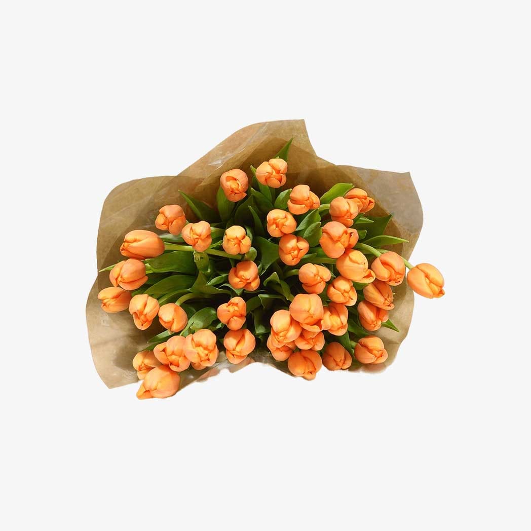 orange-tulips.jpg