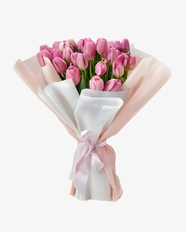 Pink Tulips
